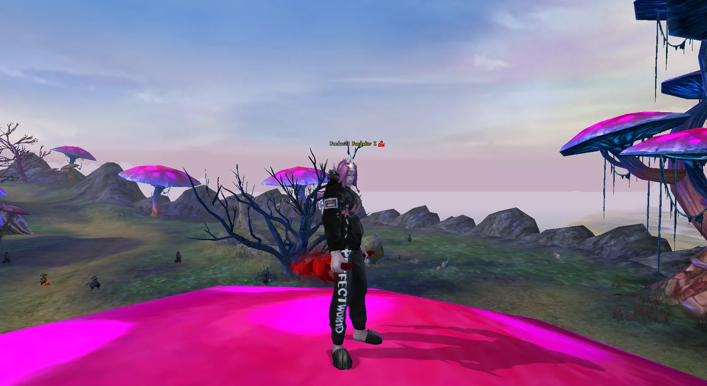 Skin Mercenário Fundador I